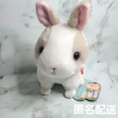 キュンと なきうさぎ の集い　ぬいぐるみ　 ぴょんこちゃん　匿名配送