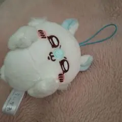モモンガ 古本屋