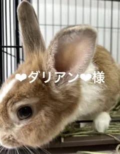 2043 ❤︎ダリアン❤︎様 リクエスト 2点 まとめ商品