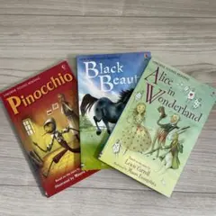 Usborne Young Reading Series Two 3冊セット