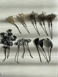 ドライフラワー髪飾り　結婚式、成人式、卒業式