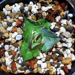 og様 リクエスト 2点 まとめ商品