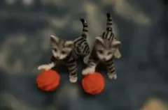 アメリカンショートヘア　ネコ　猫　ねこ　ミニチュアプラネット　フィギュア