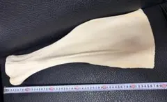 レア! キリン ★ 肩甲骨(Shoulder Blade bone)