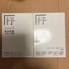 Item thumbnail for item 9ad41b77-df00-4244-9b27-8b41b1d8c548