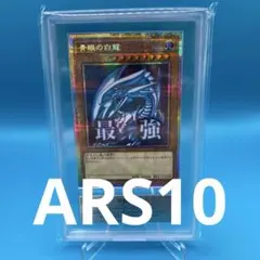 2026年最新】青眼の白龍 レリーフ ars10の人気アイテム - メルカリ