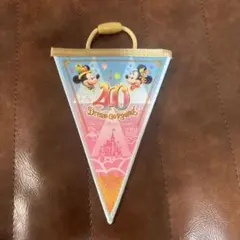 flotwrll 様専用東京ディズニーリゾート 40周年記念ガーランド 水色