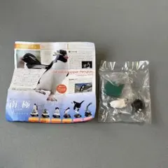 南極　特装版　イワトビペンギン