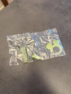 【値下済】TWICE LOVELYS アクリルカラビナフロッキーマスコット