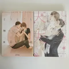 漫画 ボーイズラブ