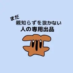【専用】