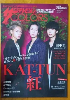 ザテレビジョンCOLORSvol.39 CRIMSON2018年8月31日号増刊