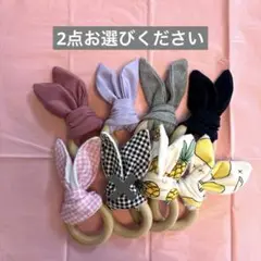 【廃業セール】2点 歯固めまとめ売り
