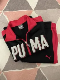 PUMA ジャージセット