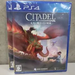 新品未開封 PS4 シタデル:永炎の魔法と古の城塞 2個セット