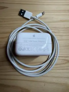 Appleアップル純正品 iPad充電器セット