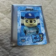 中日ドラゴンズ 沖縄キャンプ ドアラカード