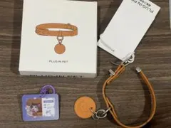 黄星 邱鼎杰 PLUG-IN PET 小秋千 nugu 首輪 身分証付き