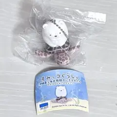 沖縄 美ら海水族館限定 すみっコぐらし しろくま アオウミガメ