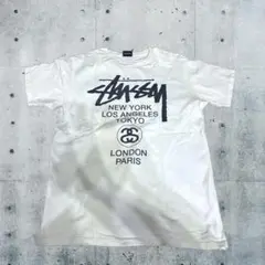 【希少】90s OLD STUSSY ワールドツアーTシャツ 黒タグ裏VIBE