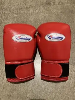 Item thumbnail for item 7b66c310-1d11-4e96-a0bd-3ea4332ba0ae