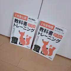 はなちゃん様 リクエスト 2点 まとめ商品