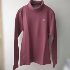 Item thumbnail for item 01b1bc66-3a25-4646-babb-998cc8bef750