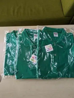 Item thumbnail for item 0320a253-a2ae-454f-9d03-4310d070ee3c