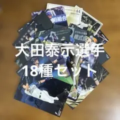 プロ野球チップスカード等大田泰示選手18種まとめセット(キラ6種ノーマル12種)のサムネイル
