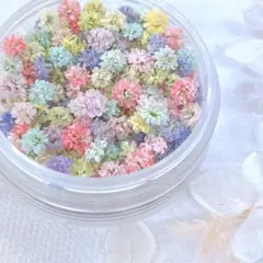 daisy様 リクエスト 3点 まとめ商品