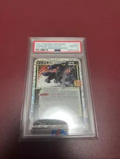 2026年最新】25th psa10 ブラッキーの人気アイテム - メルカリ