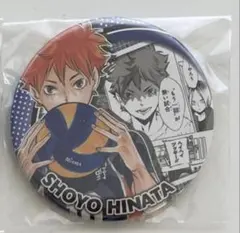 ハイキュー 日向翔陽 缶バッジ コレクション HEROES