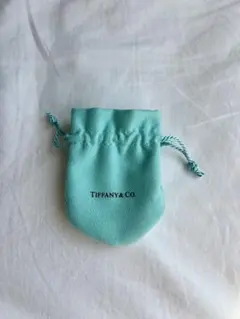 TIFFANY & Co. ティファニー 保存袋 ジュエリーポーチ 巾着袋のサムネイル