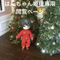 はんちゃん姫様専用閲覧ページ