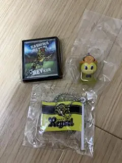 フラッグキーチェーン、フレームマグネット、めじるしアクセサリー 柏レイソル