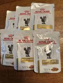 Item thumbnail for item 4610588d-6a56-4117-ada2-a3adc7877923