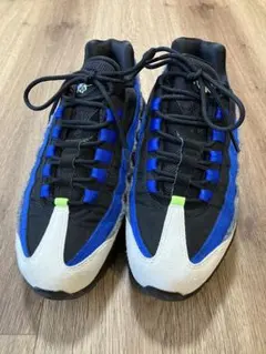 Nike Air Max 95 SE 24.0