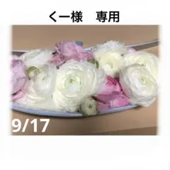 くー様　専用