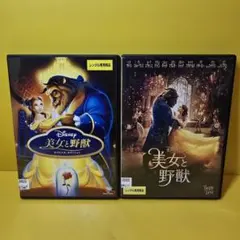 流れ星様 リクエスト 6点 まとめ商品