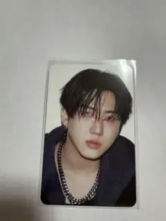 Stray Kids スキズ KARMA skzoo 封入トレカ チャンビン