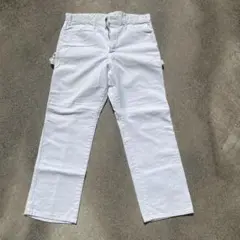 Dickies Sherwin Williams w34