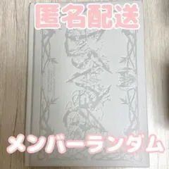 ALD1 2ND MINI ALBUM Fragile Beast ver.