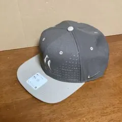 Item thumbnail for item 703cde2c-17aa-4005-b4f5-be3548c8e51c