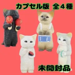 花房さくらのねこの音楽会 ガチャ-2