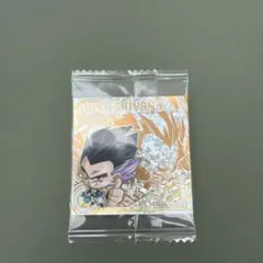 ドラゴンボールウエハースシール　スーパサイヤ人3 ゴテンクス　W17-20ER