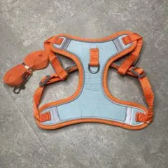 Item thumbnail for item 4340b2e4-283d-4c8f-a878-00d2017cdc91