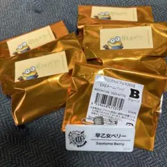 にじさんじフェス2025 早乙女ベリー ネームバッジ