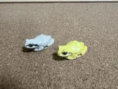 ネイチャーテクニカラー　ガチャ　アマガエル　マグネット　しろいろ　アルビノ
