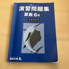 予習シリーズ 演習問題集 算数 6年下〔有名校対策〕四谷大塚 早稲アカ