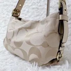 COACH Signature Canvas Hobo Y2K Archive